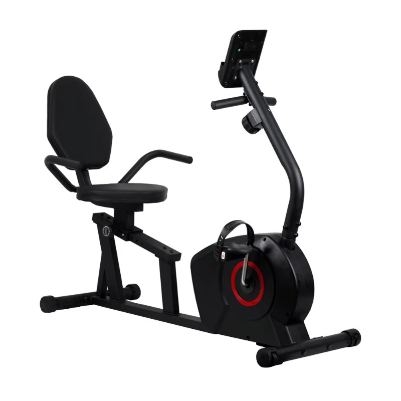 YTYIN 가정용 맞춤형 유산소 운동 기구, 자기 저항 - Exercise Bike Magnetic Resistance 리뷰 및 가격